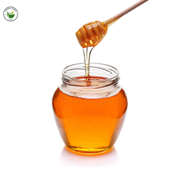Forest Honey - 500ml